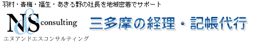 株式会社エヌアンドエスコンサルティング-記帳代行・経理代行
